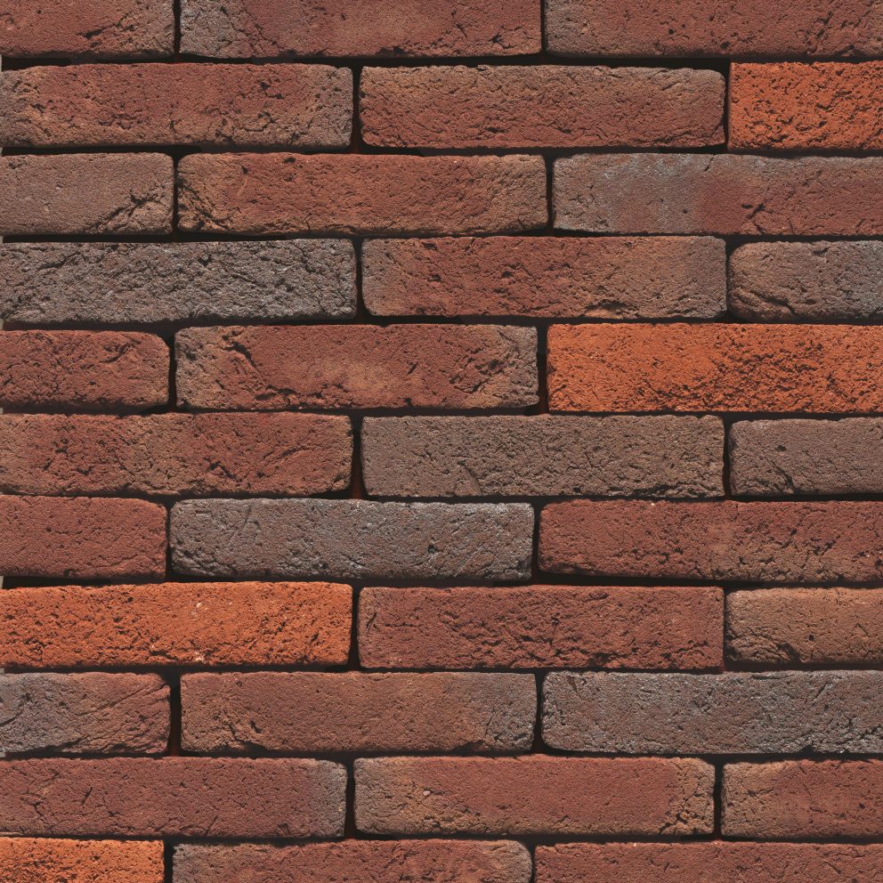 CLASSO20ALVERNA_CROP_300_CMYK.jpg